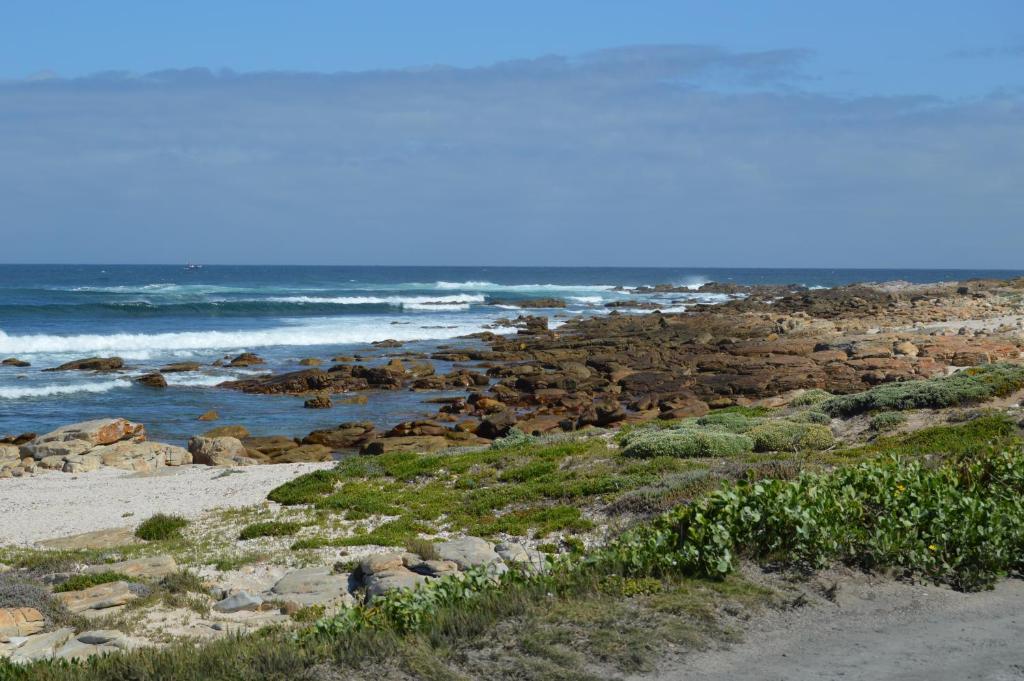 Thatchwood Country Lodge St Francis Bay Eksteriør billede